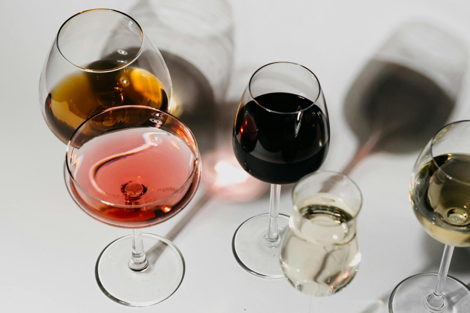 Les trésors cachés du vin ardéchois : découvrez une région viticole d’exception